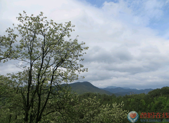 心灵境界大学首届第三次研修在安徽三祖禅寺开班