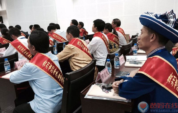 2015年9月9日在教师节来临之际,为了帮助山区教师拉近与留守儿童的距离,由共青团贵州省委、共青团青少年发展基金会,特邀爸妈在线心理剧学院院长、中国管理科学研究院学术专业委员会特约研究员杨丽春教授,为贵州省教育一线的100名山村优秀教师,讲授以"关爱留守儿童和困境儿童"的主题专题讲座。