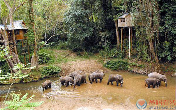 彩云之南》——邀你唱响心博会