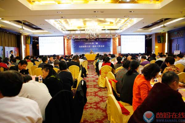 集思广益 众志成城共同抒写爸妈在线2015年发展蓝图