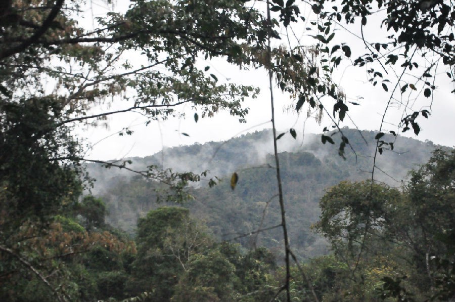 简讯4——美丽的版纳,梦幻的乐土