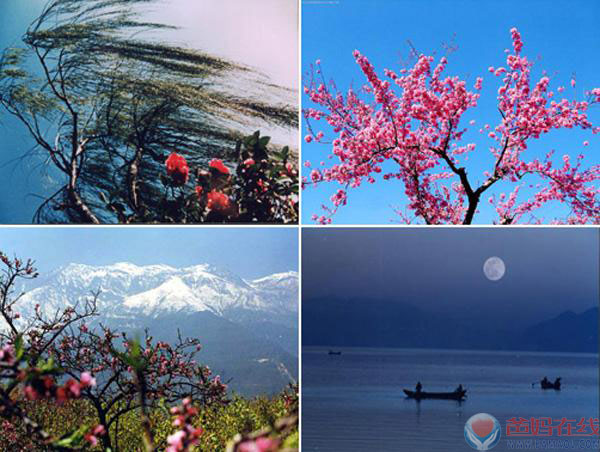 彩云之南》——邀你唱响心博会