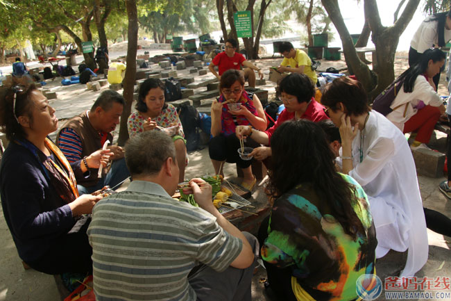 回归自然 交流成长