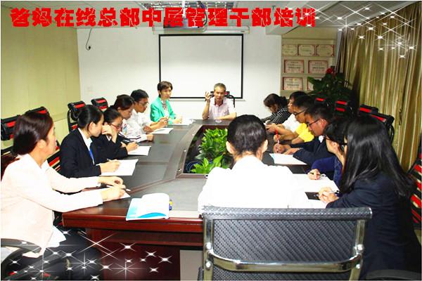 鹰一样的员工 雁一样的团队