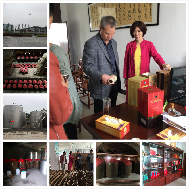 爸妈在线夏建国主席一行参观考察亳州酒巷酒业并达成合作意向