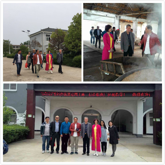 爸妈在线夏建国主席一行参观考察亳州酒巷酒业并达成合作意向