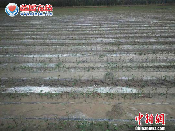 董事局副主席杨萍赴灾区献爱心纪实(二)