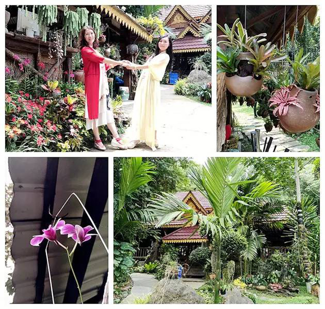 1493632724440352.jpg 微信图片_20170501172534.jpg