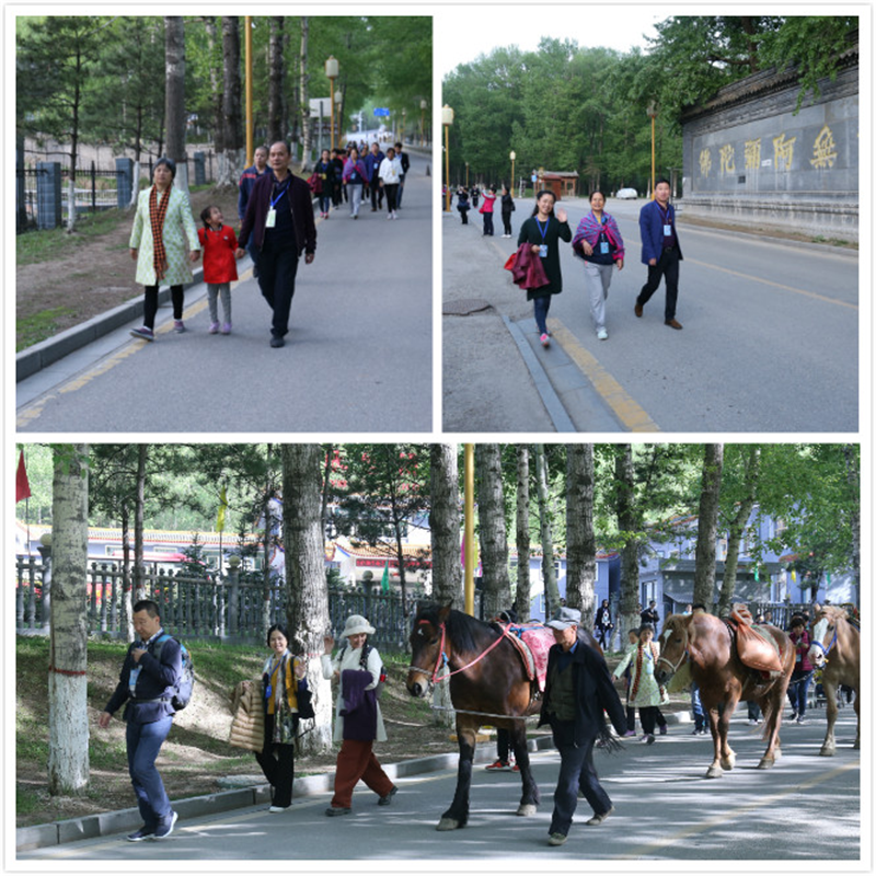 1526548371691795.png 图片5.png