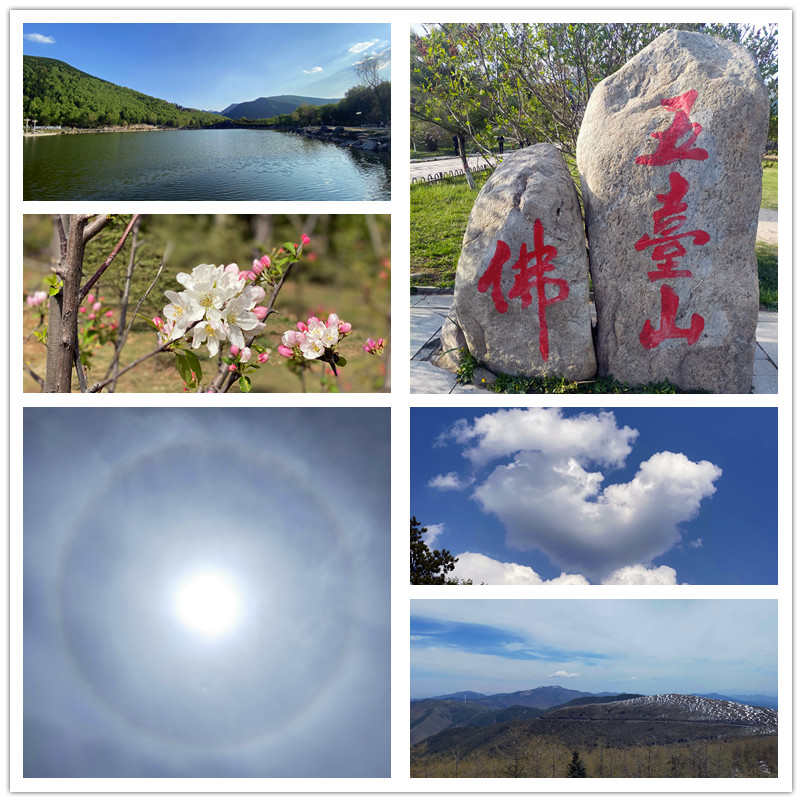 1621561551393163.jpg IMG20210517172805_副本.jpg