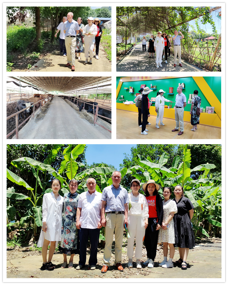 1623381159931006.jpg IMG_20210605_121320.jpg